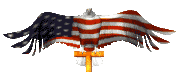 Eagle Flag