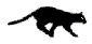 Cat Run